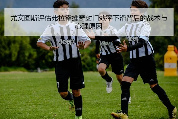 尤文图斯评估弗拉霍维奇射门效率下滑背后的战术与心理原因